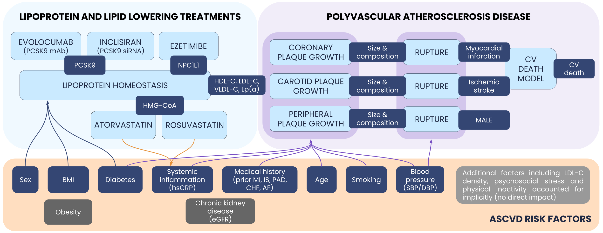 ASCVD model graph