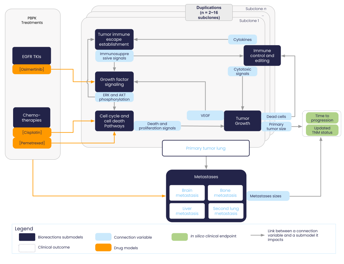NSCLC model graph